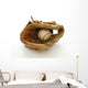 Baseball and Glove Wall Decal