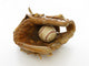 Baseball and Glove Wall Decal