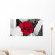 Roses Wall Mural