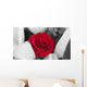 Roses Wall Mural