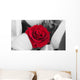 Roses Wall Mural