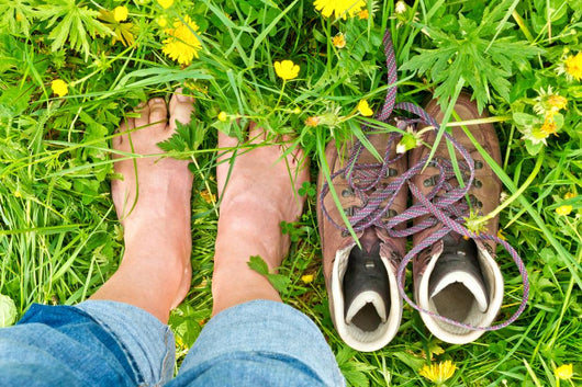 Barfu im Gras