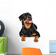 Portrait of young Rottweiler Wall Decal