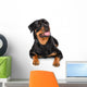 Portrait of young Rottweiler Wall Decal