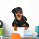 Portrait of young Rottweiler Wall Decal