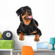 Portrait of young Rottweiler Wall Decal