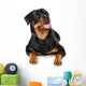 Portrait of young Rottweiler Wall Decal