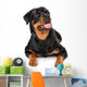 Portrait of young Rottweiler Wall Decal