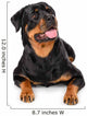 Portrait of young Rottweiler Wall Decal