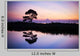 Single Tree along Edge