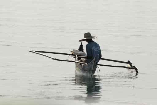 Canoe Madagascar Wall Decal
