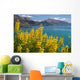 Yellow Lupins Lake Wakatipu