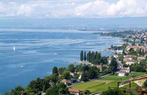 Riviera Vaudoisefeerie Wall Decal