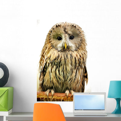 Owl Wall Decal shown on a wall