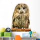 Owl Wall Decal