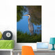 Graureiher Wall Mural