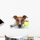 Tennis Ball Dog Wall Decal