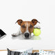 Tennis Ball Dog Wall Decal