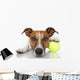 Tennis Ball Dog Wall Decal