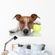 Tennis Ball Dog Wall Decal