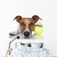 Tennis Ball Dog Wall Decal