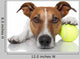 Tennis Ball Dog Wall Decal