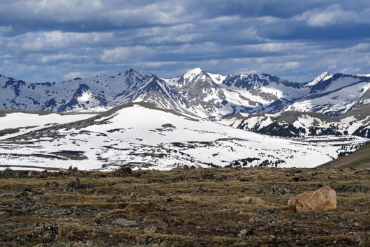 Rocky Mountain National Park Wall Mural