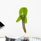 Cydalima perspectalis (Cydalima perspectalis) during feeding Wall Decal