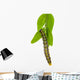 Cydalima perspectalis (Cydalima perspectalis) during feeding Wall Decal