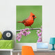 Cardinal Branch