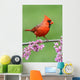 Cardinal Branch