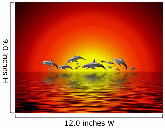 Delphine Im Sonnenuntergang Wall Mural