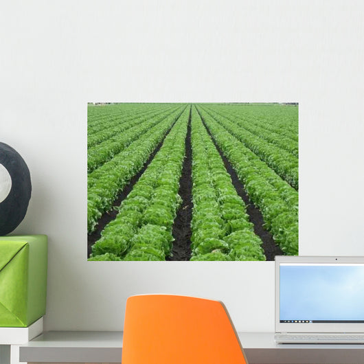 Lettuce Field Wall Decal