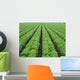 Lettuce Field Wall Decal