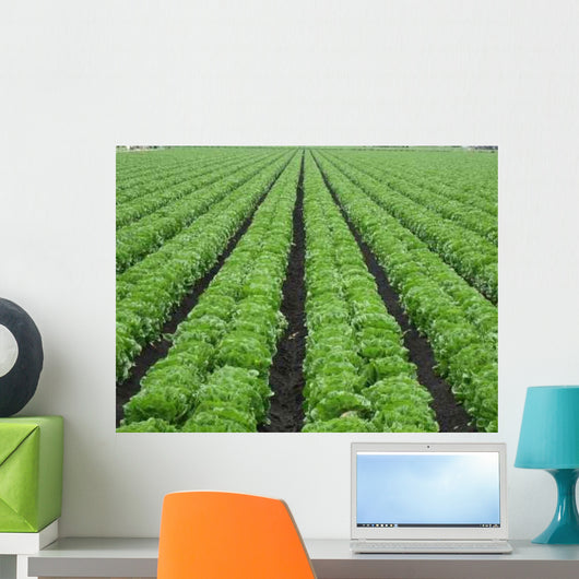 Lettuce Field Wall Decal