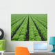 Lettuce Field Wall Decal
