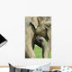 Elephant Calf Wall Mural