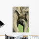 Elephant Calf Wall Mural
