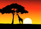 African Sunset background with giraffe Wall Mural