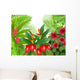 tropical forest Wall Mural