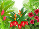 tropical forest Wall Mural