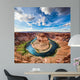 Horseshoe Bend canyon Wall Mural