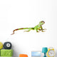 Green iguana Wall Decal