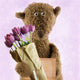 Teddy Bear with Tulips
