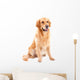 golden retriever dog sitting on isolated  white Wall Decal