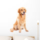 golden retriever dog sitting on isolated  white Wall Decal