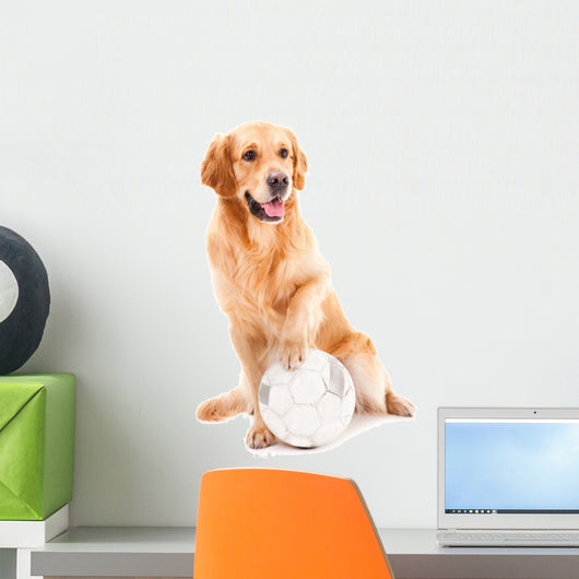 golden retriever dog playing with ball on isolated  white Wall Decal
