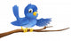 Bluebird sitting on  branch pointing Wall Decal