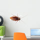 Cockroach
