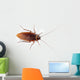 Cockroach